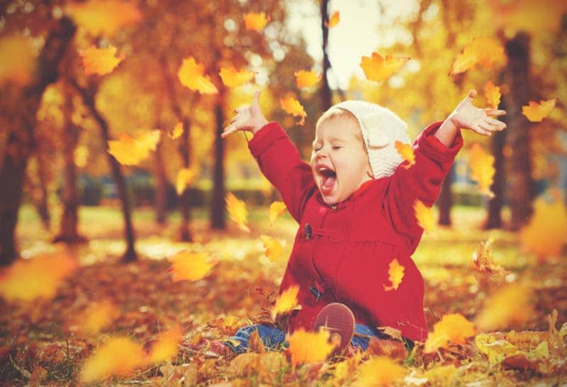 October 2022 Newsletter