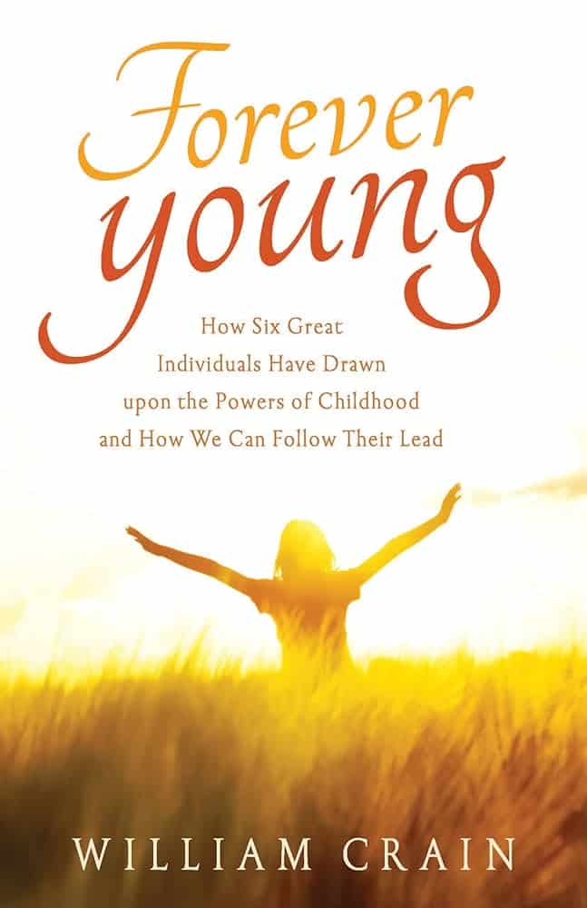 Book cover for 
